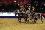 Quadrille - 00867